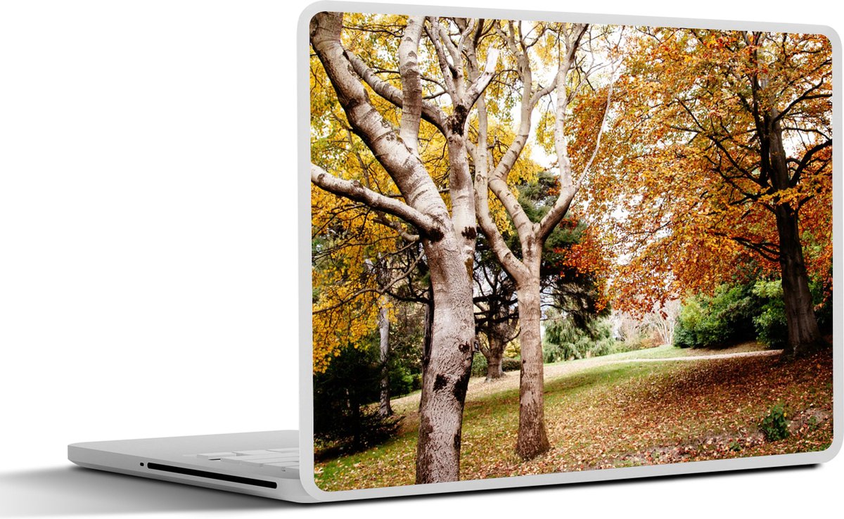 Laptop sticker - 17.3 inch - Herfst - Bomen - Bladeren - natuur - 40x30cm - Laptopstickers - Laptop skin - Cover