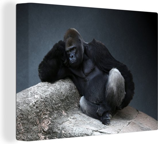 Un Gorilla reposant sur une pierre Toile 40x30 cm - petit - Tirage photo  sur toile