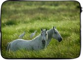 Laptophoes 14 inch 36x26 cm - Paarden  - Macbook & Laptop sleeve Twee witte paarden met eenden op hun rug in het gras - Laptop hoes met foto