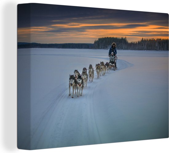 Peintures sur toile - Huskies sibériens dans une équipe de traîneau de Laponie suédoise - 80x60 cm - Décoration murale