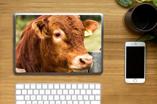 Autocollant pour ordinateur portable - 10,1 pouces - Highlander écossais - Berg - Clôture - 25x18cm - Autocollants pour ordinateur portable - Peau d'ordinateur portable - Couverture