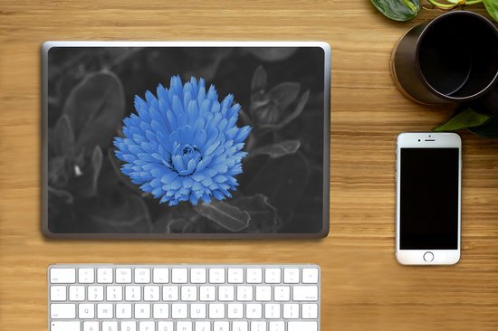 Sticker pour ordinateur portable - 14 pouces - Fleurs - Zwart - Wit - Blauw - 32x5x23x5cm - Autocollants pour ordinateur portable - Skin pour ordinateur portable - Housse