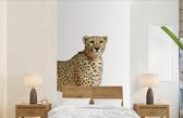 Behang kinderkamer - Fotobehang Luipaard - Dieren - Witte achtergrond - Kinderen - Jongens - Meisjes - Breedte 120 cm x hoogte 240 cm - Kinderbehang