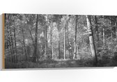 WallClassics - Bois - Forêt Zwart / Wit - 100x50 cm - 12 mm d'épaisseur - Photo sur Bois (Avec Système de Suspension)