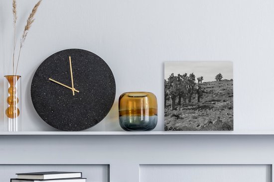 Peintures sur toile - Paysage rocheux avec cactus en Equateur - noir et blanc - 20x20 cm - Décoration murale