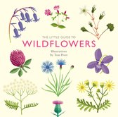 Little Guides - The Little Guide to Wildflowers