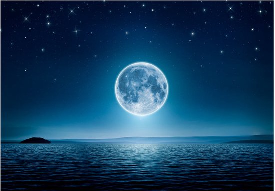 Papier peint photo - Nuit au clair de lune.
