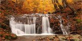 Fotobehangkoning - Behang - Vliesbehang - Fotobehang XXL - Waterval in het Herfstbos - Bos - 550 x 270 cm