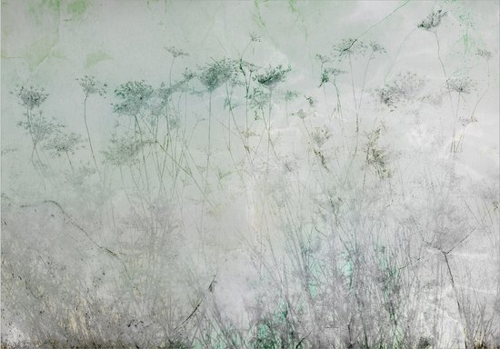 Papier peint photo - Indian Summer - Première Variant.