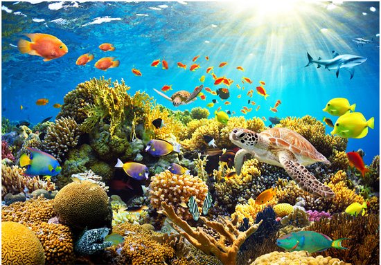 Papier peint photo - Terre sous-marine.