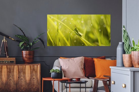 Stickers muraux - Feuille Autocollant - Sauterelle - Herbe - Vert - 120x60 cm - Film Adhésif - Stickers muraux Chambre Enfant - Papier Peint Auto Adhésif