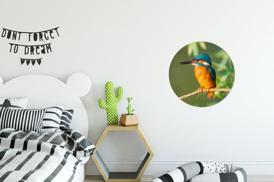 Cercle mural - Cercle mural - Vogel - Martin pêcheur - Branche - Feuilles - Plastique - 30x30 cm - Tableaux ronds - Décoration murale ronde - Cercle mural animaux