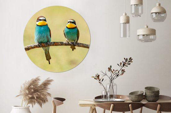 WallCircle - Cercle mural - Vogels - Animaux - Guêpier - Aluminium - Dibond - ⌀ 120 cm - Intérieur et extérieur XXL