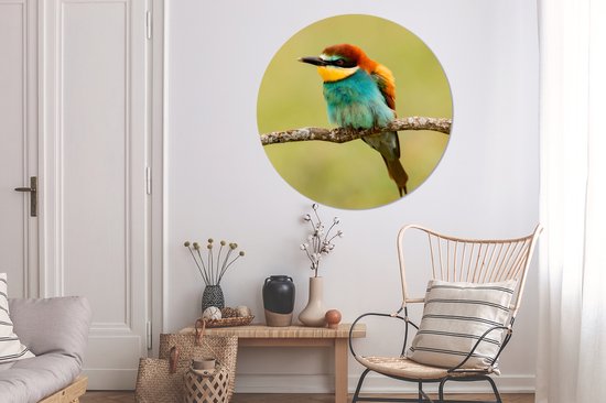 Cercle Mural - Cercle Mural - Vogel - Guêpier - Animaux - Aluminium - Dibond - 140x140 cm - Intérieur et Extérieur