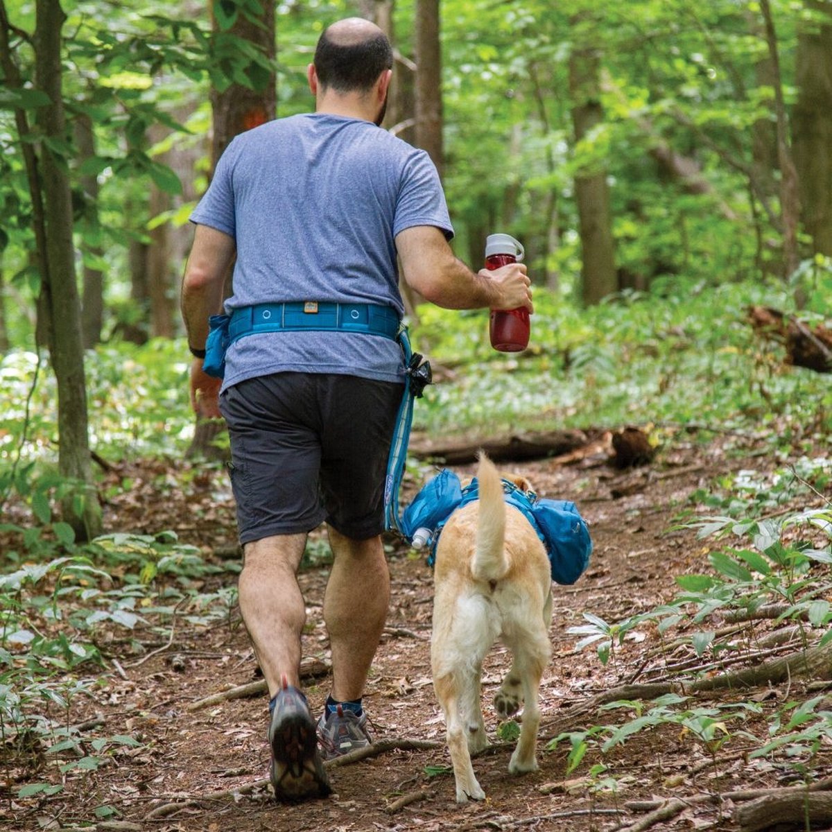 Ceinture de canicross On Trail Kurgo - Equipement chien