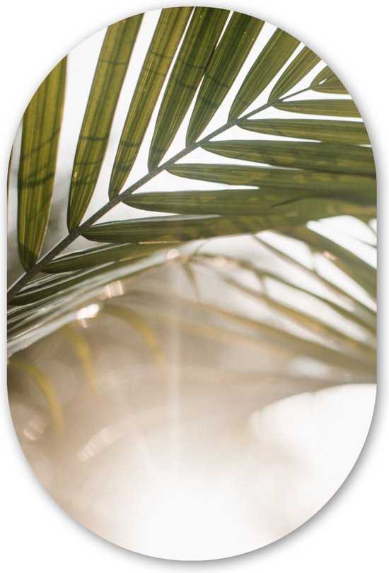 Muurovaal - Kunststof Wanddecoratie - Ovalen Schilderij - Palmboom - Palmblad - Zon - Zomer - 60x90 cm - Ovale spiegel vorm op kunststof