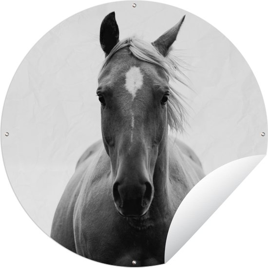 Tuincirkel Paard - Zwart - Wit - Portret - 150x150 cm - Ronde Tuinposter - Buiten