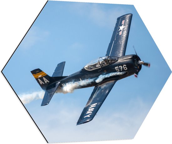 WallClassics - Dibond Hexagon - Minnie Blauw Vliegtuig in de Lucht - 70x60.9 cm Foto op Hexagon (Met Ophangsysteem)