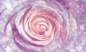 Fotobehang - Vlies Behang - Sprankelende Roze Roos - 208 x 146 cm
