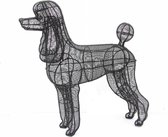 Tuinbeeld -  Hond Poedel Close Wire - Frame
