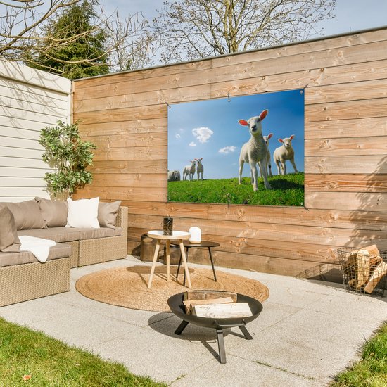 Affiche de jardin - Toile de jardin - Posters de jardin extérieur - Mouton - Printemps - Paysage - 120x80 cm - Jardin