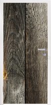 Deursticker Plank - Hout - Robuust - 95x215 cm - Deurposter