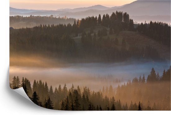 Papier peint photo Forêt dans la brume - Papier peint non tissé - 400 x 280 cm