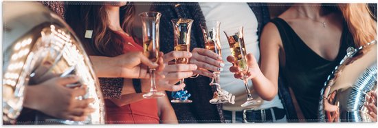 Vlag - Feest - Champagne - Vrienden - Proosten -Ballonnen - Confetti - 60x20 cm Foto op Polyester Vlag
