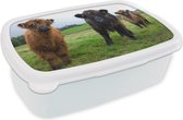 Broodtrommel Wit - Lunchbox - Brooddoos - Schotse hooglander - Koeien - Natuur - Groen - Gras - 18x12x6 cm - Volwassenen