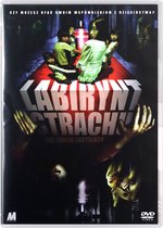 The Shock Labyrinth [DVD]