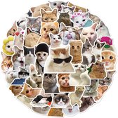 Katten Stickers - 50 stuks - 5x6CM - Grappige Cat Memes stickers - Internet poezen/dieren vinyl stickers voor kinderen en volwassenen
