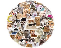 foto van Katten Stickers - 50 stuks - 5x6CM - Grappige Cat Memes stickers - Internet poezen/dieren vinyl stickers voor kinderen en volwassenen