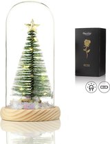 Luxe Kerstboom in Glas met LED – Kerstboom in Glazen Stolp - Bekend van Beauty and the Beast - Cadeau voor vriendin moeder haar - Kerst Decoratie Boom – Qwality