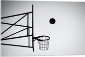 Acrylglas - Bal Vallend in Basket (Zwart-wit) - 90x60 cm Foto op Acrylglas (Met Ophangsysteem)
