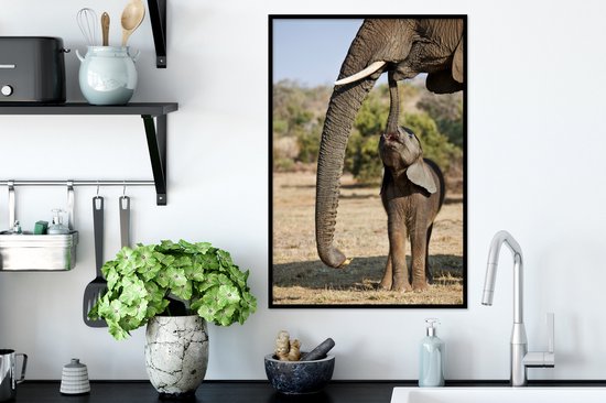Cadre photo avec affiche - Bébé éléphant communique avec sa mère - 40x60 cm - Cadre pour affiche