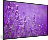 Affiche - Cadre photo - Fleurs - Violet - Lavande - Nature - Cadre - Cadre affiche - 60x40 cm - Cadre affiche - Décoration chambre - Affiche nature - Affiche fleurs - Photo avec cadre