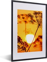 Fotolijst incl. Poster - Planten - Bloemen - Zonsondergang - Oranje - 40x60 cm - Posterlijst