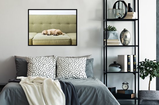 Affiche avec cadre Chiens - Chiot endormi sur le canapé - cadre photo noir - 80x60 cm - Affiche avec cadre