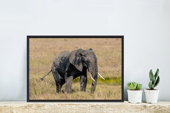Cadre photo avec poster - Éléphant - Herbe - Animaux - Nature - 60x40 cm - Cadre poster