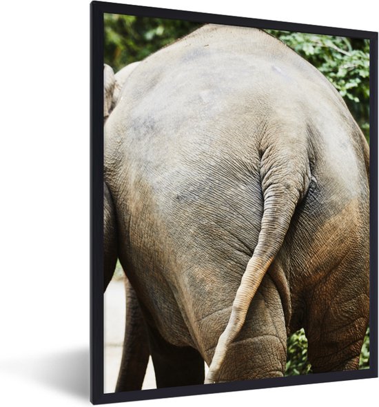 Zittende kind monnik op olifant donker