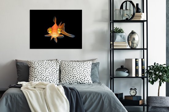 Cadre photo avec affiche - Poisson rouge - Animaux aquatiques - Yeux - 80x60 cm - Cadre pour affiche