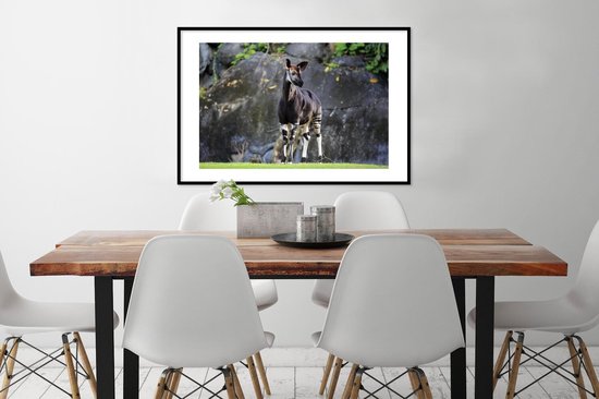Okapi dans la prairie cadre photo noir avec passe-partout blanc 60x90