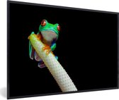 Photo en cadre - Petite grenouille d'arbre sur fond noir Cadre photo noir sans passe-partout 90x60 cm - Affiche sous cadre (Décoration murale salon / chambre)