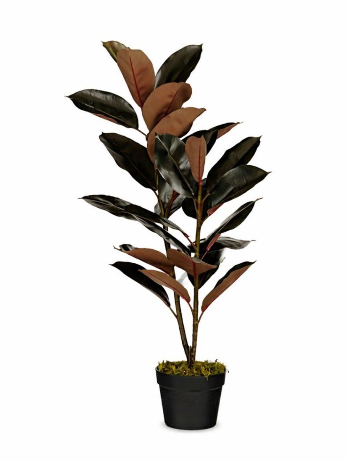 Kunstplant Rubberplant Rood
