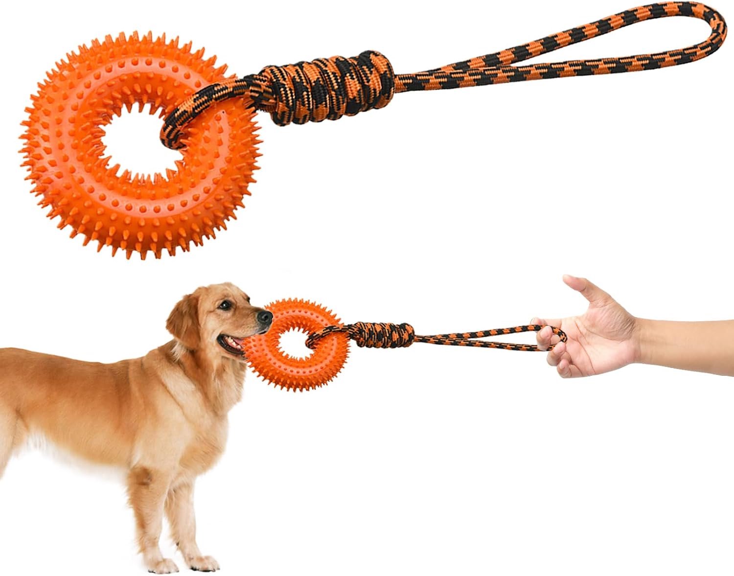 Voor honden, prikkelring, kauwspeelgoed, trainer