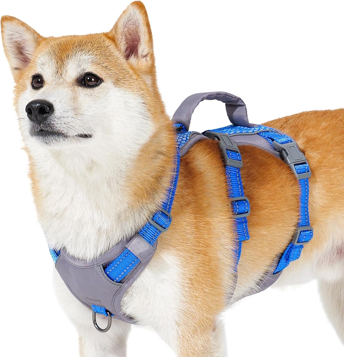 Hondentuig Medium, Anti-Trek Hondentuig met Handvat, Ademend, Verstelbaar, Reflecterende, Lichtgewicht Hondentuig voor Kleine en Grote Honden Buiten (Zeeblauw,S)