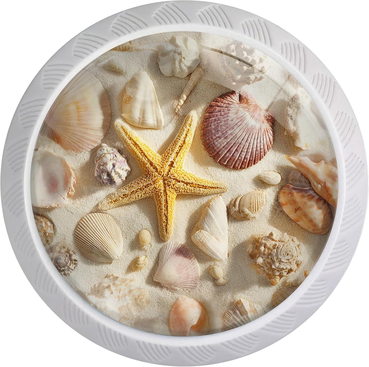 4 Pack Coastal Seashells Cabinet Knobs for Kitchen Bathroom - Beach Sand Starfish Drawer Pulls Round White Dresser - ShopVlot