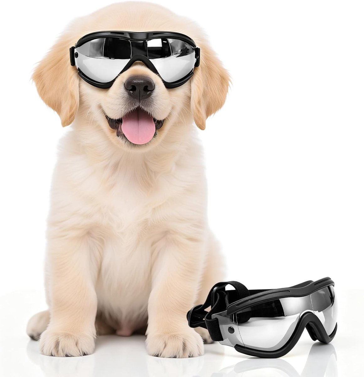 Hondenbril voor kleine honden