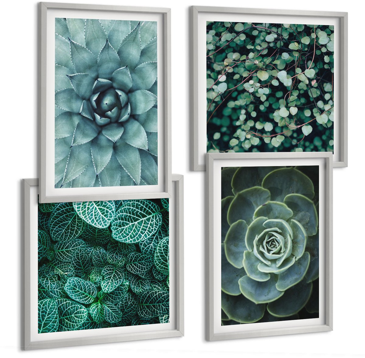 Coloray 4-Delige Schilderij Set - Vetplanten In Groene En Turquoise Tinten. - 40 x 40 cm En 40 x 60 cm - Decoratieve Schilderijen - Woonkamer - Interieur - Stijlvolle Muurdecoratie