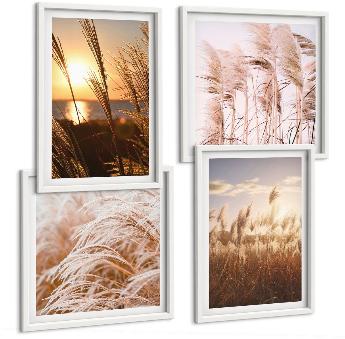 Coloray 4-Delige Schilderij Set - Fijne Grassen Van Boho Fields Bij Zonsondergang - 40 x 40 En 40 x 60 - Stijlvolle Muurdecoratie - Slaapkamer - Moderne Wanddecoratie
